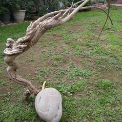 Natural Driftwood For Aquariums Terrariums Decor 