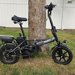E-bike Werhy (Foldable W/ Charger 