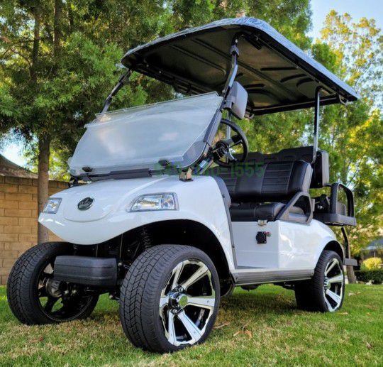2024 Golf Cart with Bluetooth