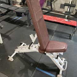 Nautilus Adjustable Bench
