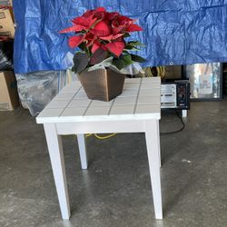 White Custom Tile Table For plant 