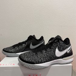 Nike Zoom LeBron NXXT Gen Grey Black