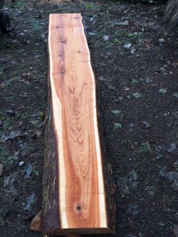 Cider slab, maple slab