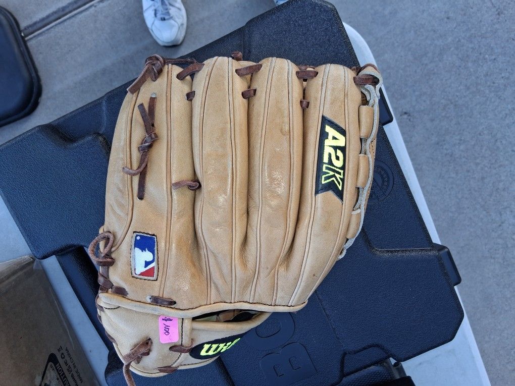 Professional Baseball Glove Excellent Condition $100