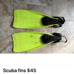 Scuba Fins 