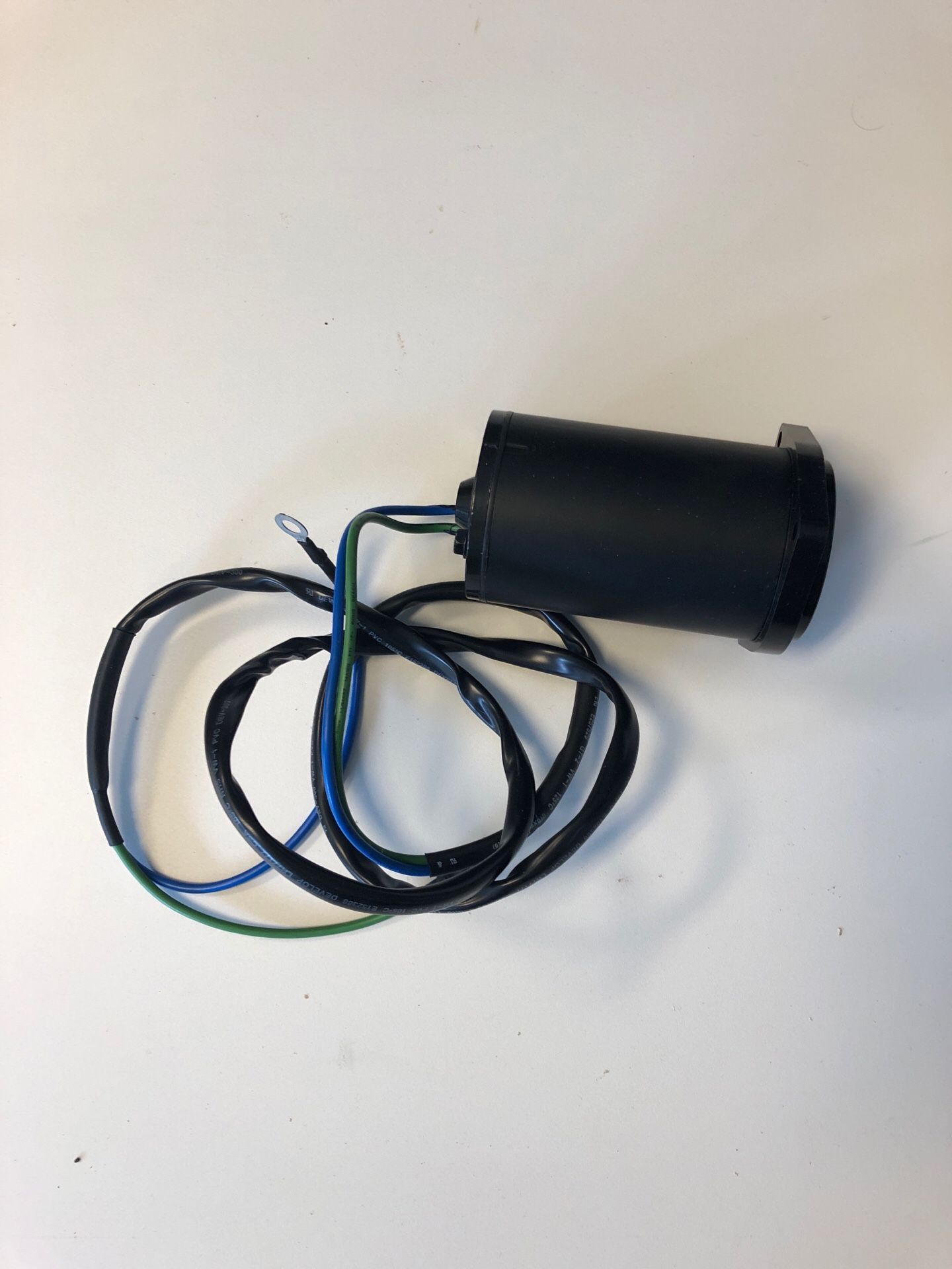 Outboard trim motor