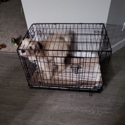 Medium Size Dog crate