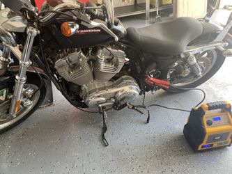 2007 883 / XL883 Low / XL883L