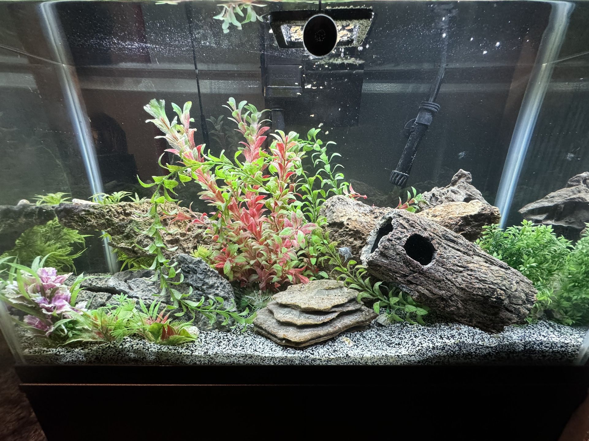 Fish tank