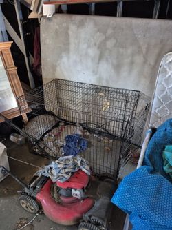 Big Dog Cage 80 Bucks
