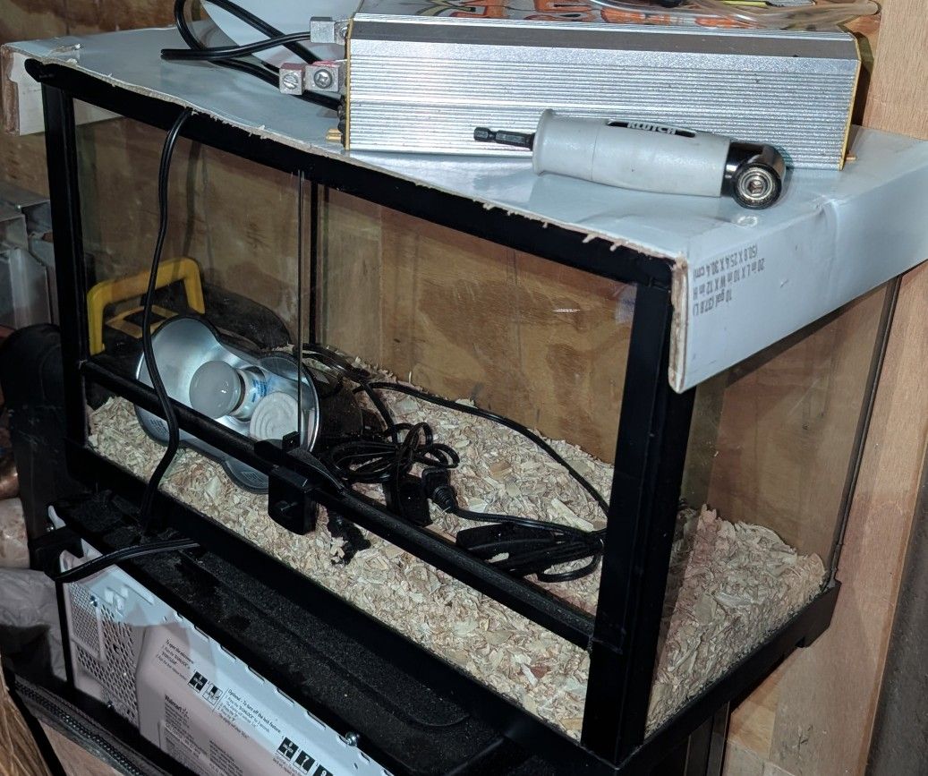 Reptile Case For Sale !