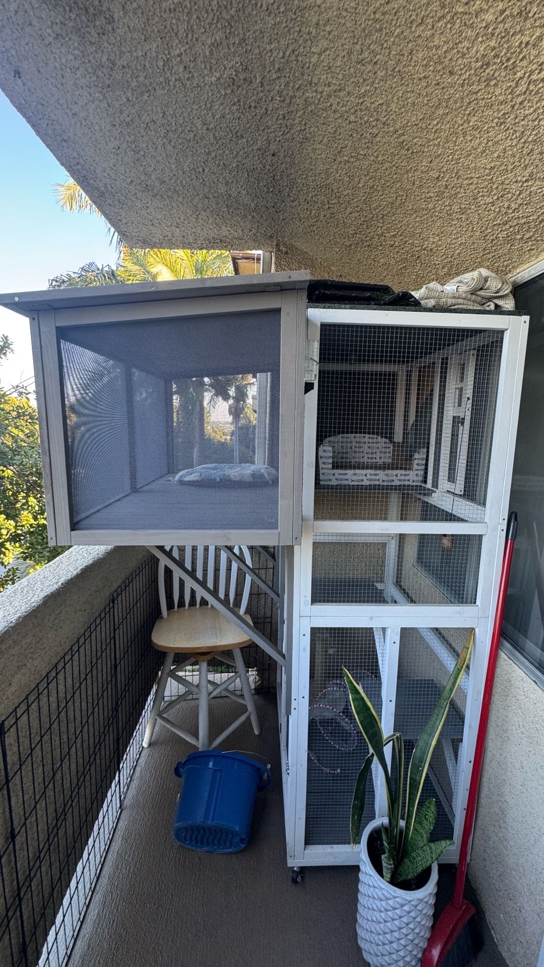 Catio