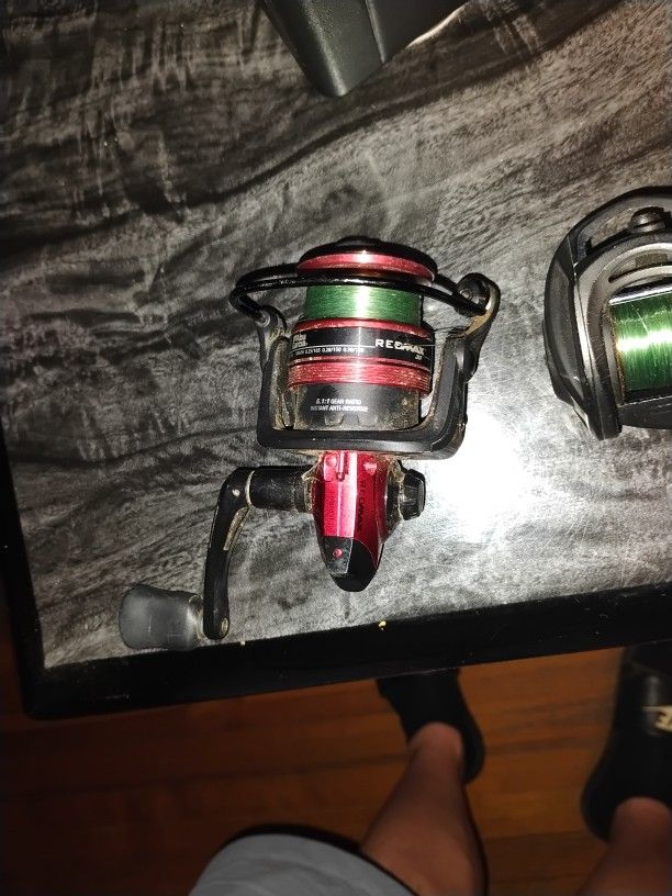 Fishing Reels