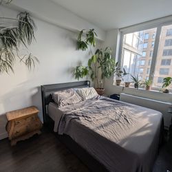Brand New Queen bed Frame 