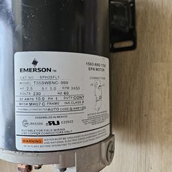 Emerson 2.5 HP Spa Motor