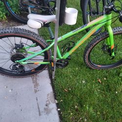 Cannondale 24x2.7 With Maxxis Down Hill Tires New Hi Rollers 