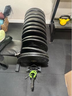 Weight plates