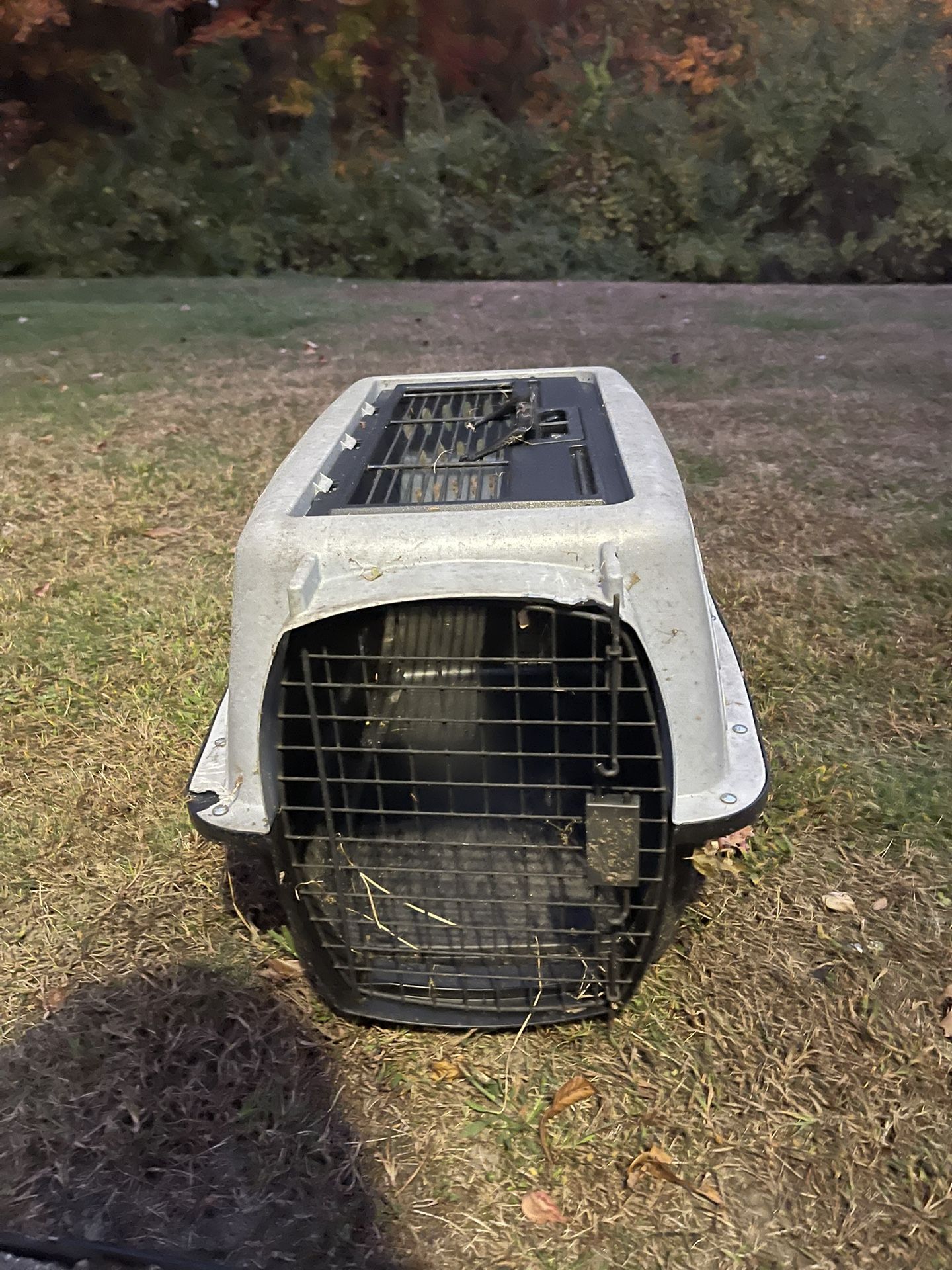 Pet Travel Carry Cage
