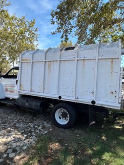 Free mulch eucalyptus tree (gratis)