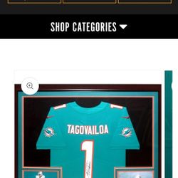Dolphins  Miami  NFL  Large Jersey
