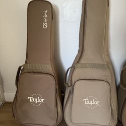 Taylor Guitar Cases Full size Baby GS MINI (Brand New)
