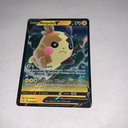 morpekoV Pokemon
