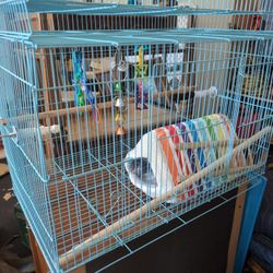 Large Bird Cages (2),  Carryon And Toys