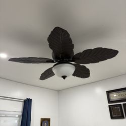 Ceiling Fan Working Perfectly