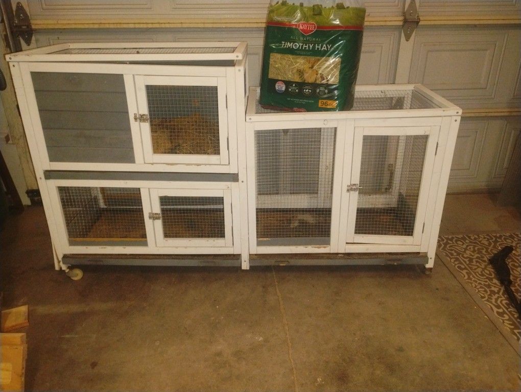 Chicken,Bunny,Rabbits,Cage