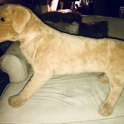 Very Large Stuffed Dog; originally cost $120 from Macy’s