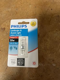 Brand New Landscape Lightbulb 