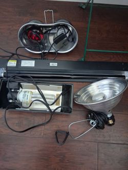 Lots of Reptil Lights