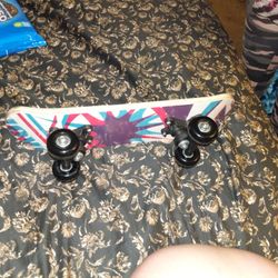 Little Skate Board 