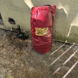 Everlast Punching Bag