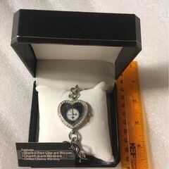 Steelers Watch