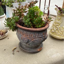 Small Pat 6” Hight 