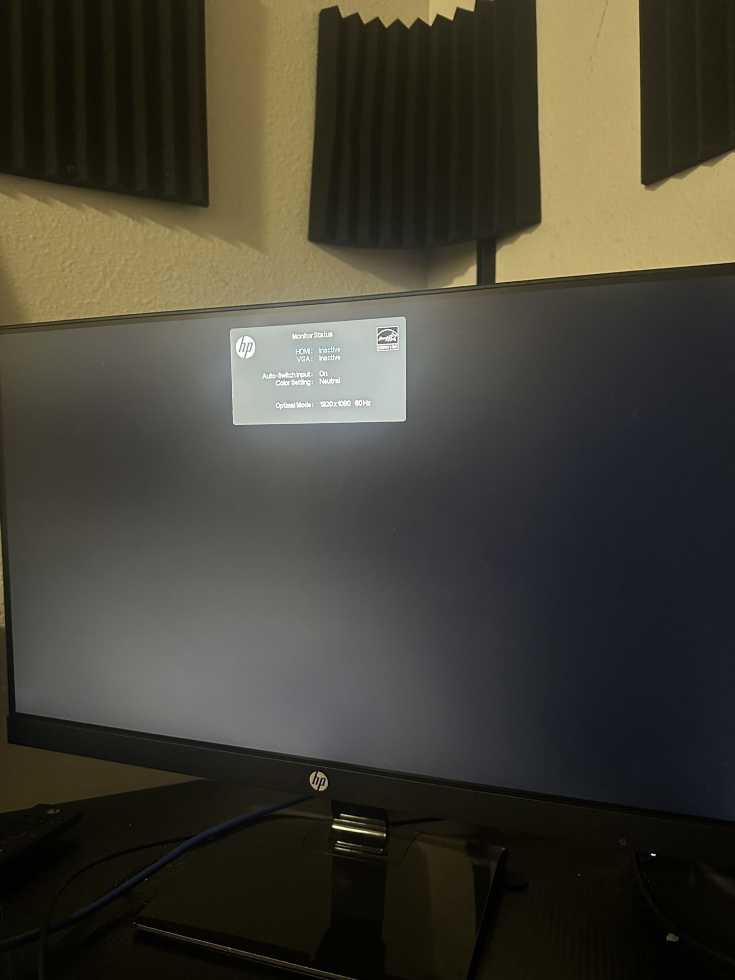 1080P HD HP Monitor