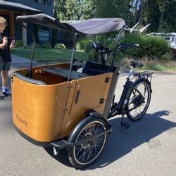 Electric  3 Wheeler Bike