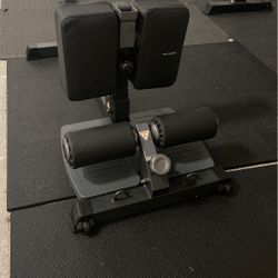 Sissy Squat And Back Extension / Quads 