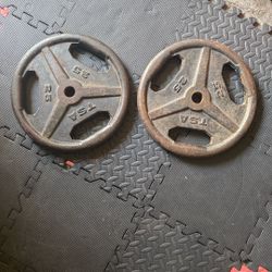 25lb Weights 