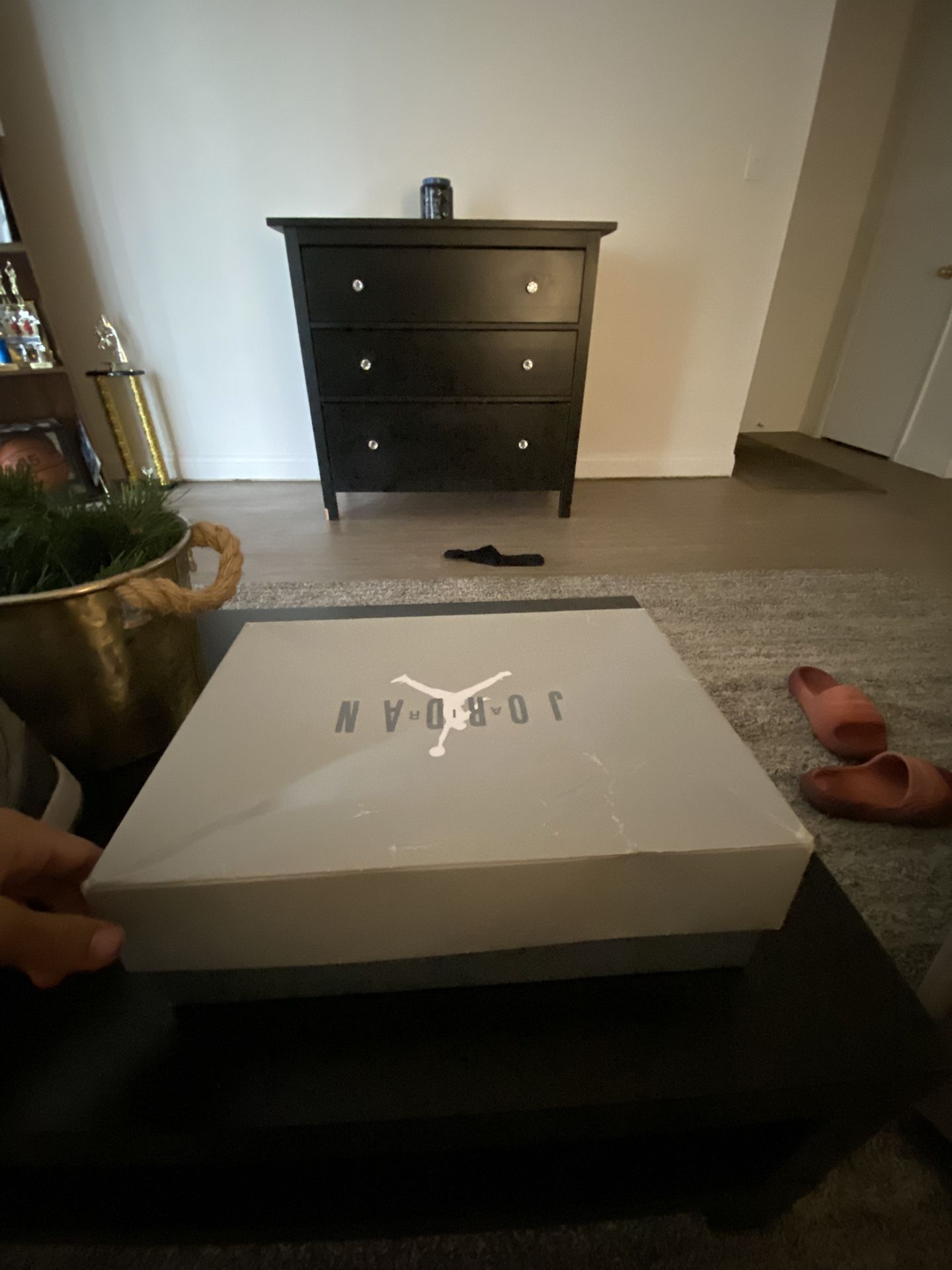 Jordan 11 Cool Greys