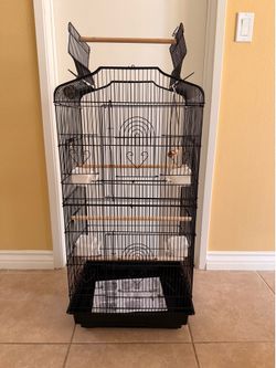 Birds Cage