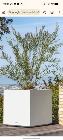 Planter - white cube, outdoor