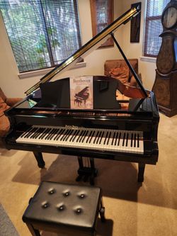 Hallet Davis & Co ebony black baby grand