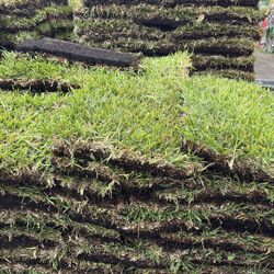 St Augustine Sod - $225 Per Pallet
