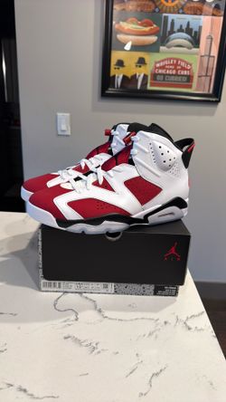 Jordan 6 Carmine DS Sz 10.5