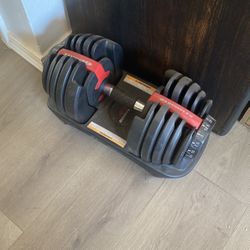 Bowflex Adjustable Dumbbell Weights Set 