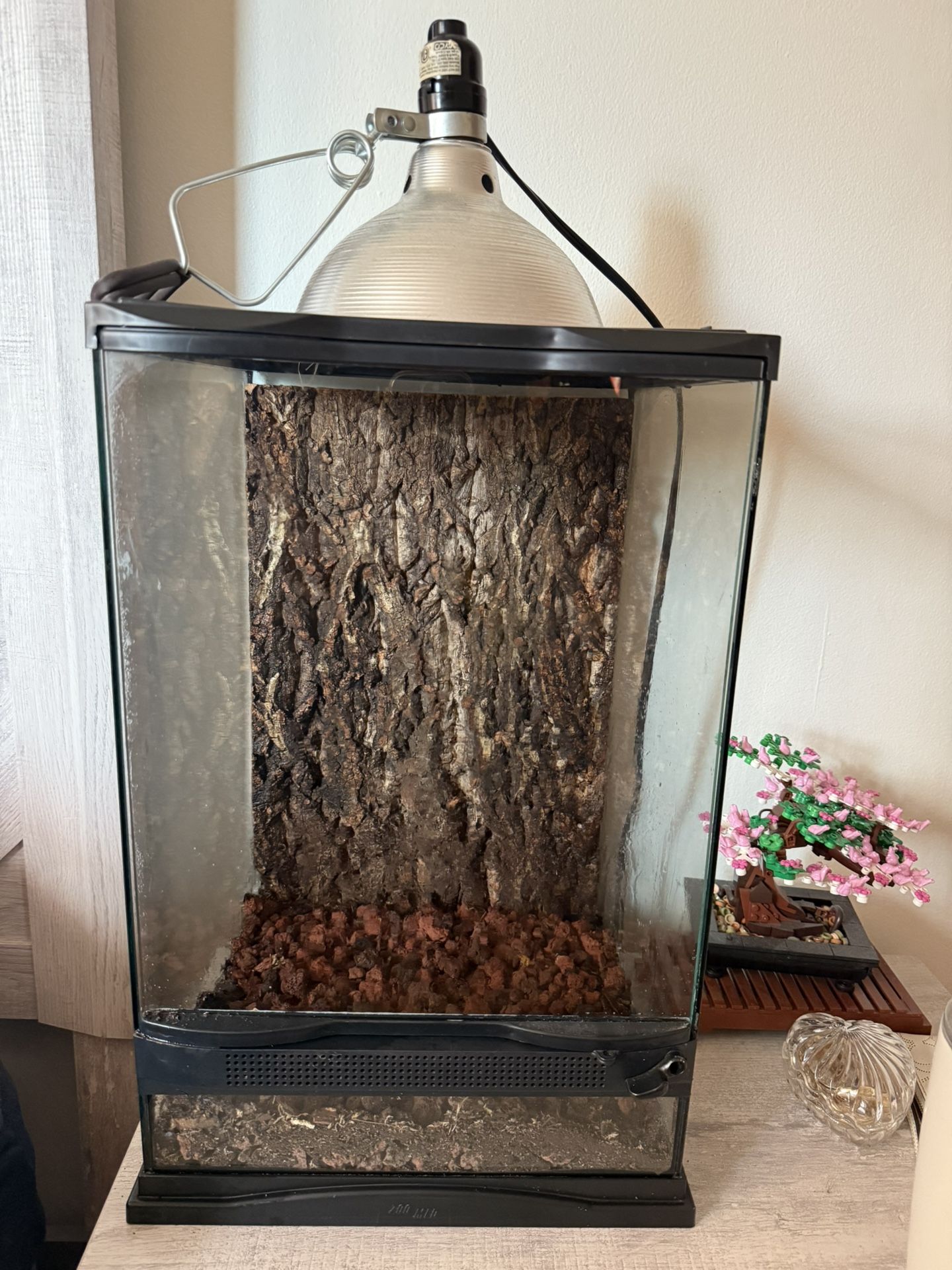 Exo Terra Glass Terrarium & reptile lamp