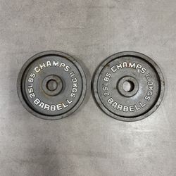 25lb Weight Plates