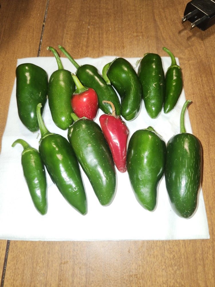 Peppers